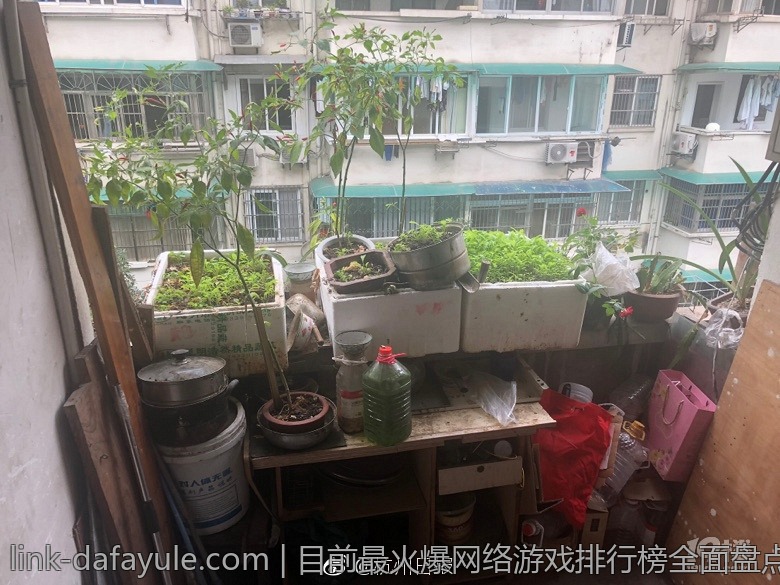 目前最火爆网络游戏排行榜全面盘点